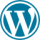 Hire Wordpress Developer